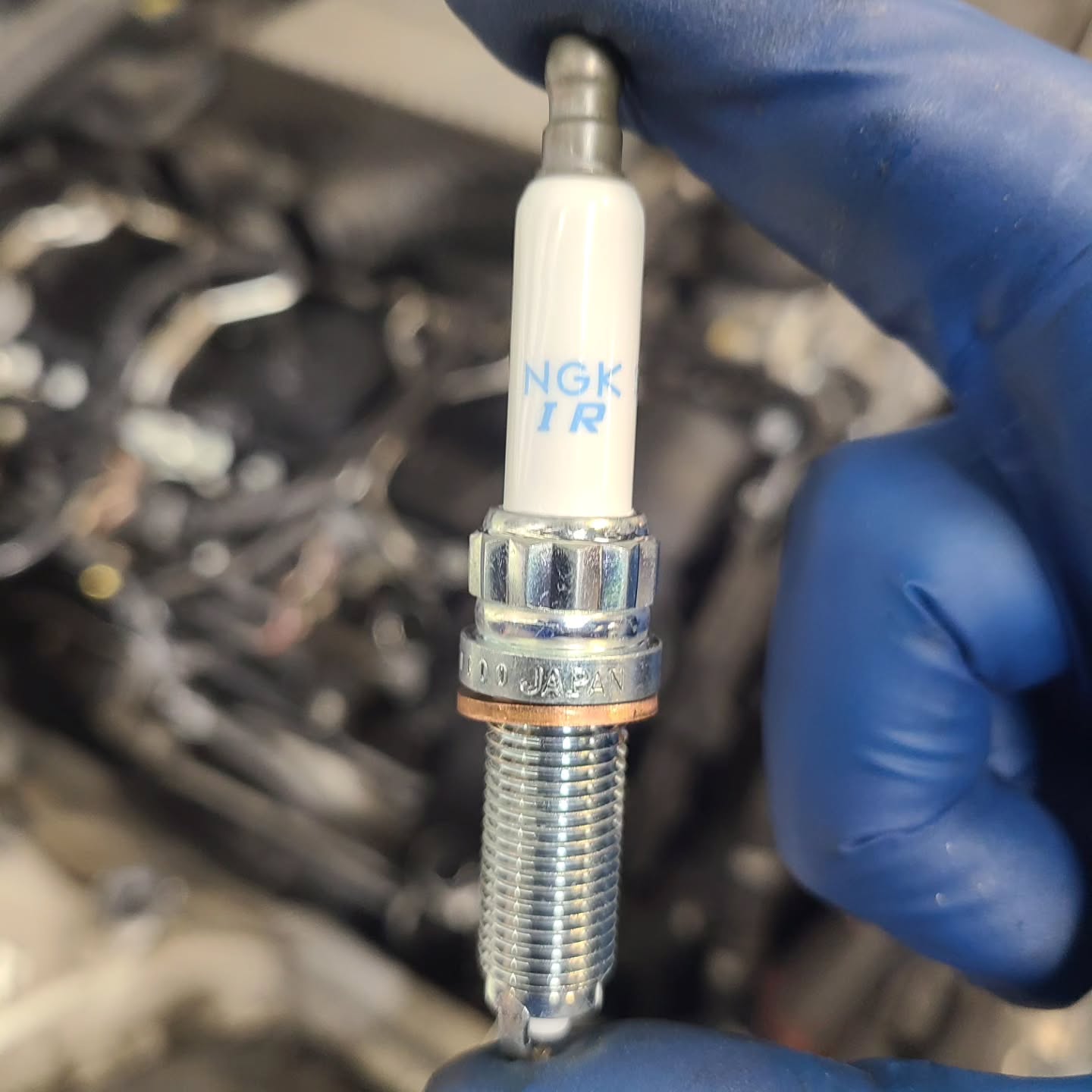 Efficient BMW service facility showing organized workflow and same-day service capability